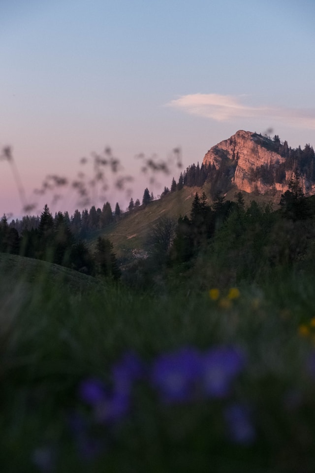 massif de la chartreuse